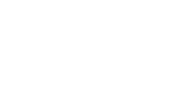 Anheiser Busch logo