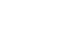 Autoneum logo