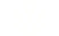 VW Volkswagen logo